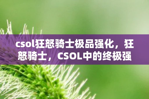 csol狂怒骑士极品强化，狂怒骑士，CSOL中的终极强化之路