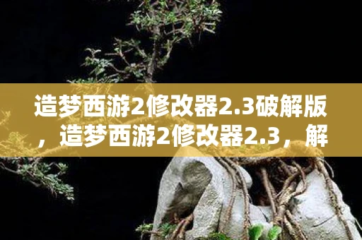 造梦西游2修改器2.3破解版，造梦西游2修改器2.3，解锁无限可能的神秘工具