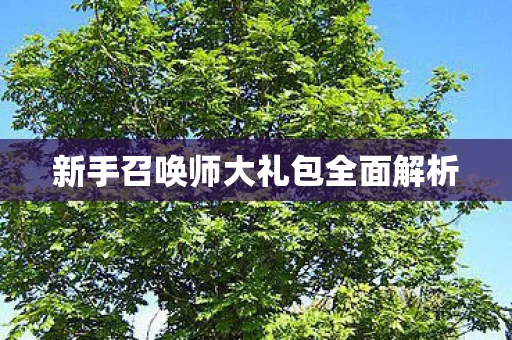 新手召唤师大礼包全面解析图片