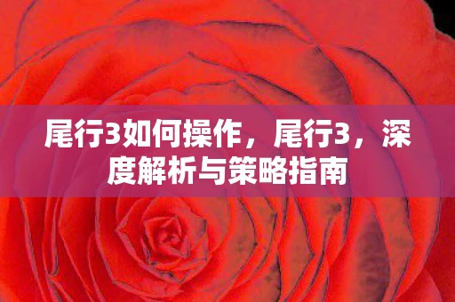 尾行3如何操作,尾行3,深度解析与策略指南 尾行3如何操作,尾行3,深度解析与策略指南