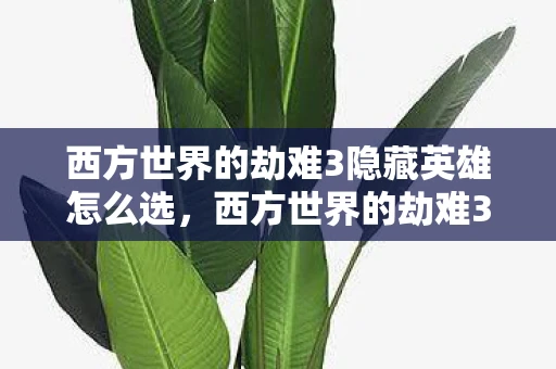 西方世界的劫难3隐藏英雄怎么选，西方世界的劫难3隐藏英雄揭秘