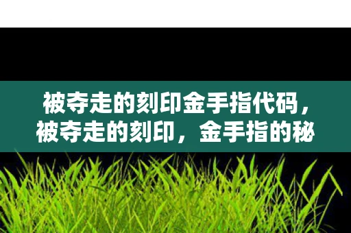 被夺走的刻印金手指代码，被夺走的刻印，金手指的秘密