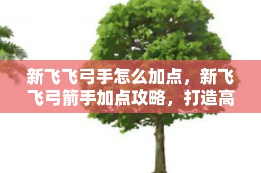新飞飞弓手怎么加点，新飞飞弓箭手加点攻略，打造高效输出的箭术大师