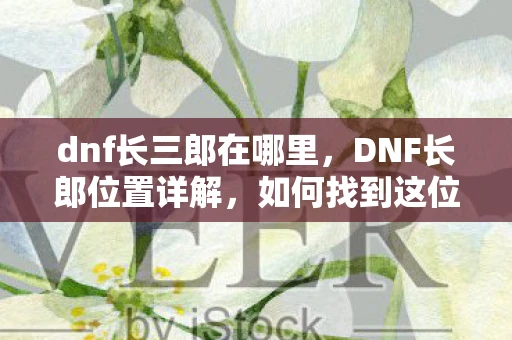dnf长三郎在哪里，DNF长郎位置详解，如何找到这位神秘角色？