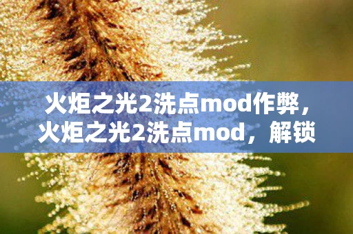 火炬之光2洗点mod作弊，火炬之光2洗点mod，解锁全新游戏体验