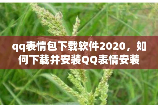 qq表情包下载软件2020，如何下载并安装QQ表情安装包