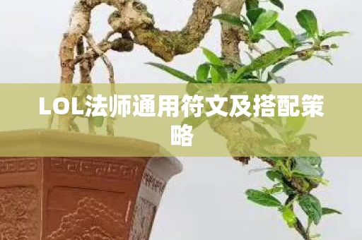 LOL法师通用符文及搭配策略图片