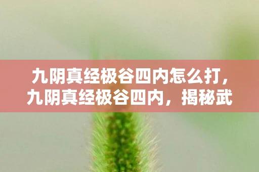 九阴真经极谷四内怎么打，九阴真经极谷四内，揭秘武侠世界的神秘内功