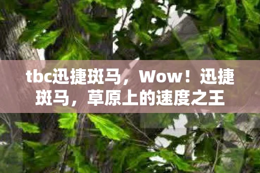 tbc迅捷斑马,Wow!迅捷斑马,草原上的速度之王 tbc迅捷斑马,Wow!迅捷斑马,草原上的速度之王