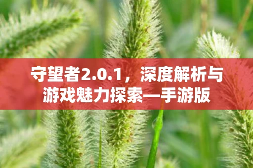 深度解析与游戏魅力探索图片