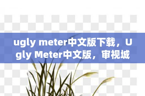 ugly meter中文版下载，Ugly Meter中文版，审视城市美学的另类视角
