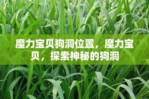 魔力宝贝狗洞位置，魔力宝贝，探索神秘的狗洞