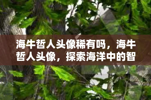 海牛哲人头像稀有吗，海牛哲人头像，探索海洋中的智慧象征
