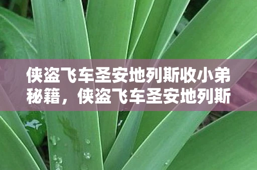 侠盗飞车圣安地列斯收小弟秘籍，侠盗飞车圣安地列斯怎么收小弟