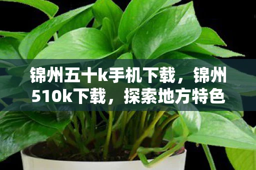 锦州五十k手机下载,锦州510k下载,探索地方特色棋牌游戏的新奇体验 锦州五十k手机下载,锦州510k下载,探索地方特色棋牌游戏的新奇体验