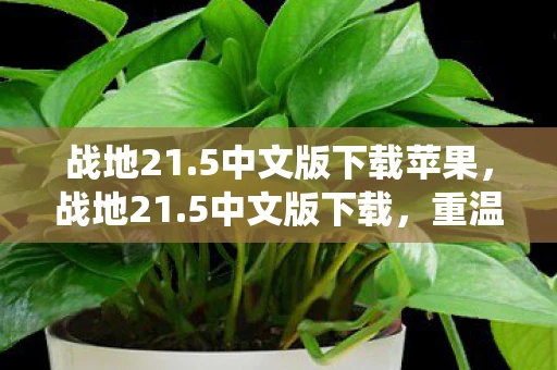 战地21.5中文版下载苹果，战地21.5中文版下载，重温经典，体验全新战役