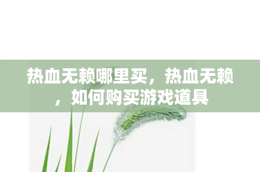 热血无赖哪里买，热血无赖，如何购买游戏道具