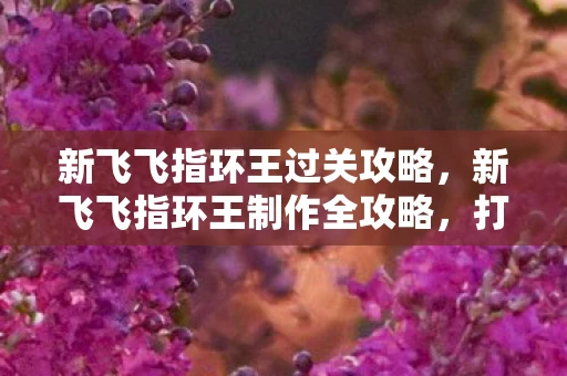 新飞飞指环王过关攻略，新飞飞指环王制作全攻略，打造你的专属传奇