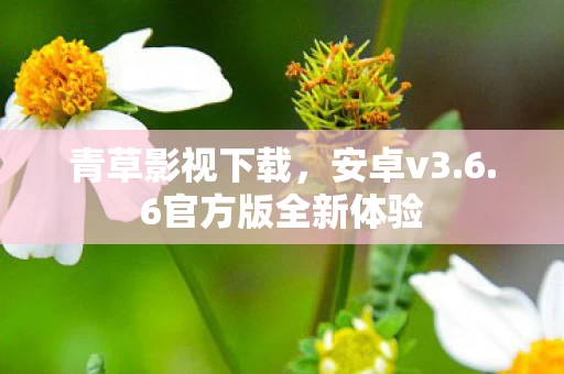 6官方版全新体验图片
