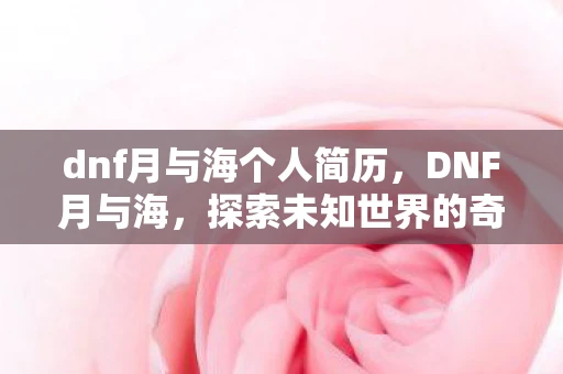 dnf月与海个人简历，DNF月与海，探索未知世界的奇幻之旅