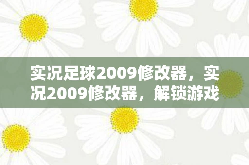 实况足球2009修改器，实况2009修改器，解锁游戏潜能的神奇工具