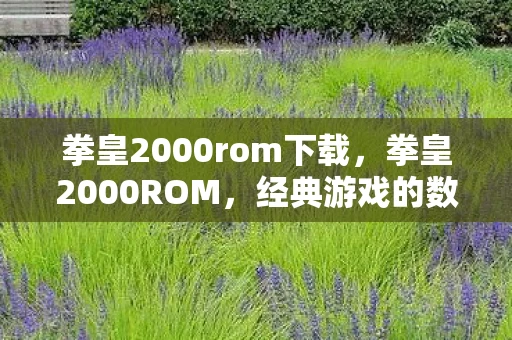 拳皇2000rom下载，拳皇2000ROM，经典游戏的数字遗产