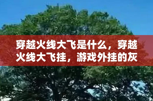 穿越火线大飞是什么，穿越火线大飞挂，游戏外挂的灰色地带与反思