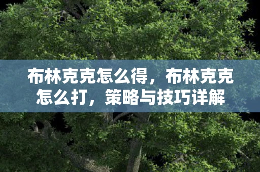 布林克克怎么得，布林克克怎么打，策略与技巧详解