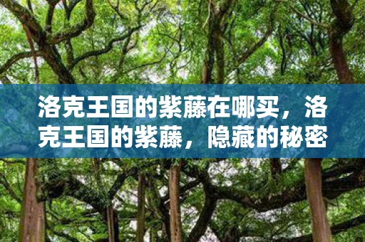 洛克王国的紫藤在哪买,洛克王国的紫藤,隐藏的秘密与寻找方法 洛克王国的紫藤在哪买,洛克王国的紫藤,隐藏的秘密与寻找方法