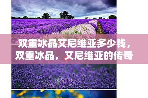 双重冰晶艾尼维亚多少钱，双重冰晶，艾尼维亚的传奇故事