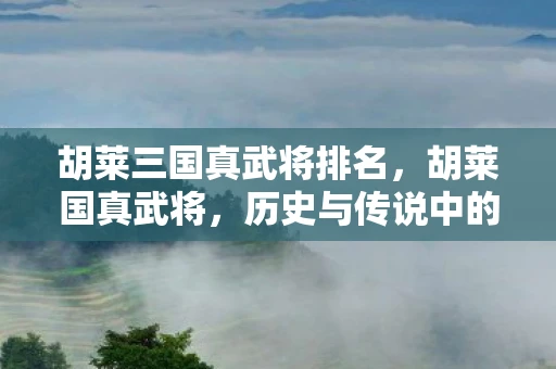 胡莱三国真武将排名，胡莱国真武将，历史与传说中的神秘存在