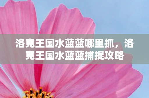 洛克王国水蓝蓝哪里抓，洛克王国水蓝蓝捕捉攻略