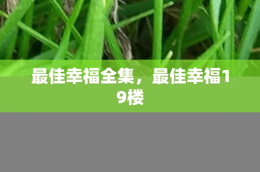 最佳幸福全集，最佳幸福19楼