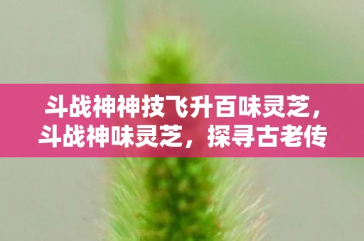斗战神神技飞升百味灵芝，斗战神味灵芝，探寻古老传说中的神秘草药