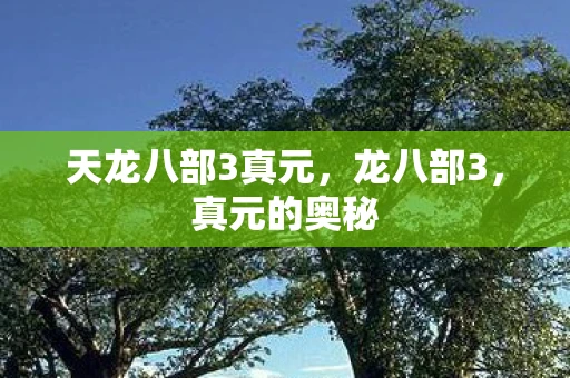 天龙八部3真元，龙八部3，真元的奥秘