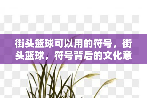 街头篮球可以用的符号，街头篮球，符号背后的文化意义