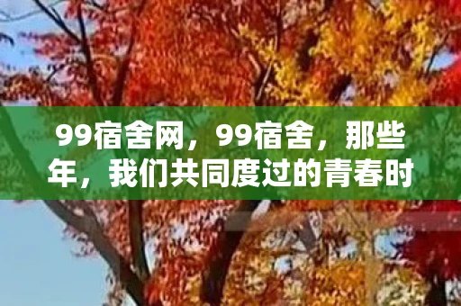 99宿舍网,99宿舍,那些年,我们共同度过的青春时光 99宿舍网,99宿舍,那些年,我们共同度过的青春时光