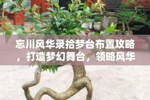 忘川风华录拾梦台布置攻略图片