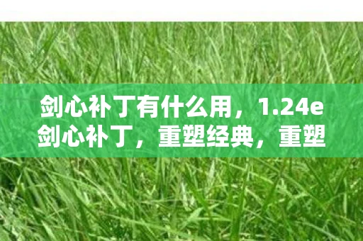 剑心补丁有什么用,1.24e剑心补丁,重塑经典,重塑自我 剑心补丁有什么用,1.24e剑心补丁,重塑经典,重塑自我