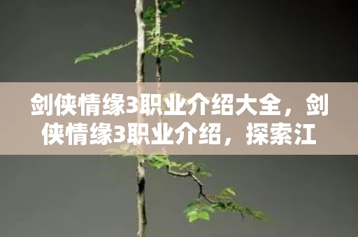 剑侠情缘3职业介绍大全，剑侠情缘3职业介绍，探索江湖，选择你的武林之路