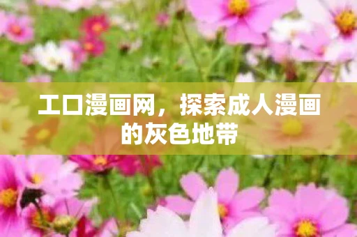 工口漫画网，探索成人漫画的灰色地带