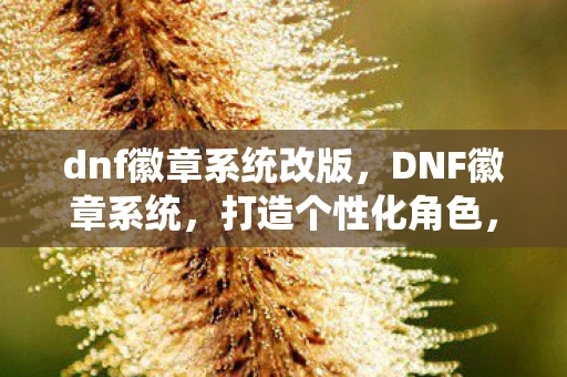 dnf徽章系统改版,DNF徽章系统,打造个性化角色,彰显独特魅力 dnf徽章系统改版,DNF徽章系统,打造个性化角色,彰显独特魅力