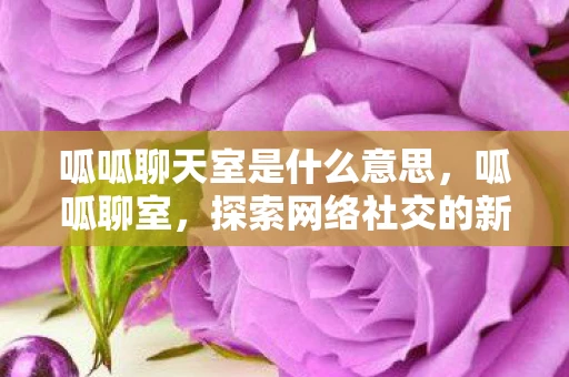 呱呱聊天室是什么意思,呱呱聊室,探索网络社交的新维度 呱呱聊天室是什么意思,呱呱聊室,探索网络社交的新维度