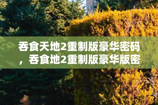 吞食天地2重制版豪华密码,吞食地2重制版豪华版密码揭秘,解锁经典游戏的隐藏秘密 吞食天地2重制版豪华密码,吞食地2重制版豪华版密码揭秘,解锁经典游戏的隐藏秘密