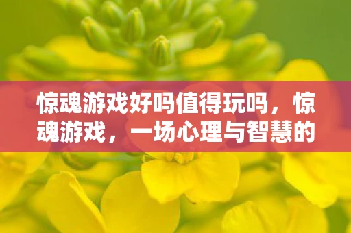 惊魂游戏好吗值得玩吗,惊魂游戏,一场心理与智慧的极限挑战 惊魂游戏好吗值得玩吗,惊魂游戏,一场心理与智慧的极限挑战