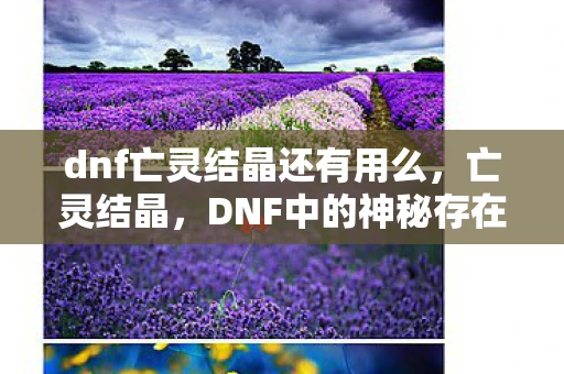 dnf亡灵结晶还有用么，亡灵结晶，DNF中的神秘存在
