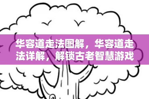 华容道走法图解，华容道走法详解，解锁古老智慧游戏的奥秘