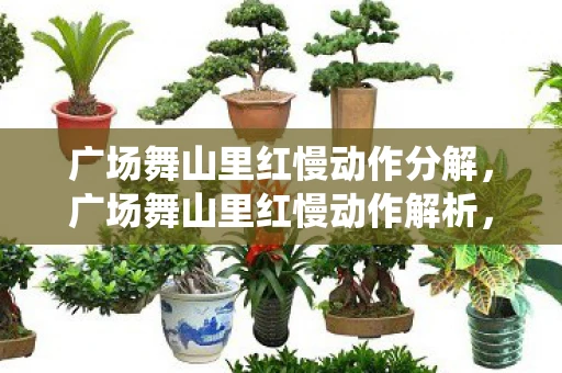 广场舞山里红慢动作分解，广场舞山里红慢动作解析，舞动乡村风情，感受传统韵味