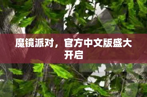 官方中文版盛大开启图片