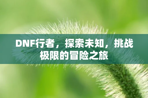 DNF行者，探索未知，挑战极限的冒险之旅